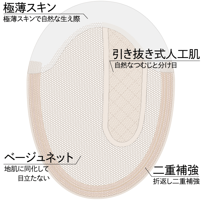 ベース説明模式図