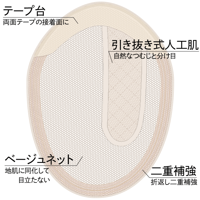 ベース説明模式図