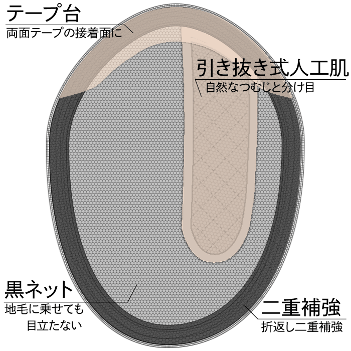 ベース説明模式図